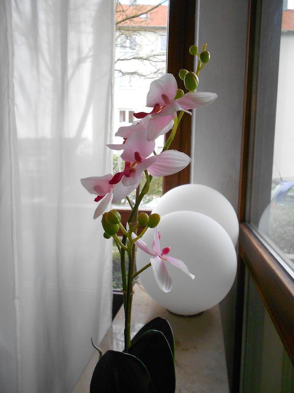 Apartments Hofgarten Regensburg Room photo